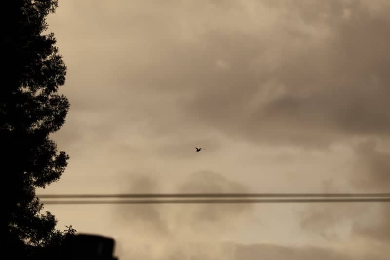 Sunnyvale Suburban Sky View - Image 1