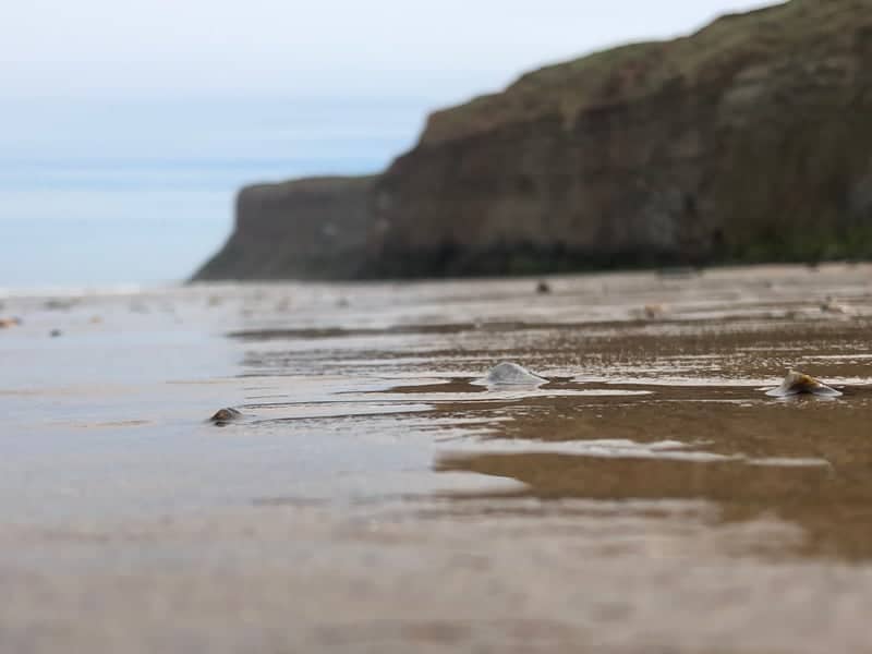 Saltburn Beach Cliffs - Image 1