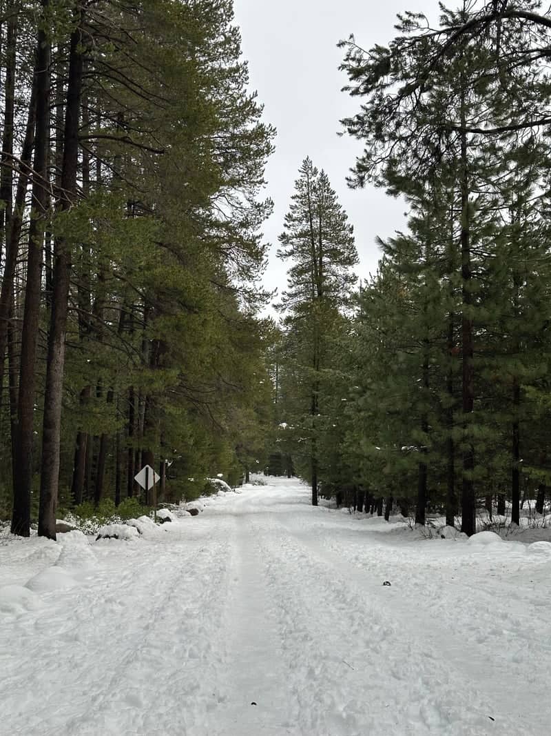 Tahoe National Forest Winter Trail - Image 1