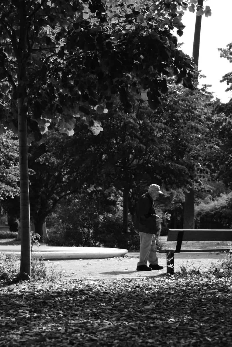 Cours Marie-Louis De Lassus Promenade - Image 1