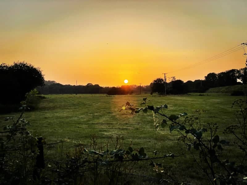 Durweston Meadows - Image 1