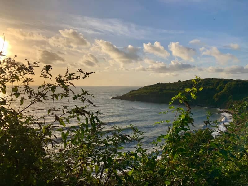 Fishcombe Cove Overlook - Image 1