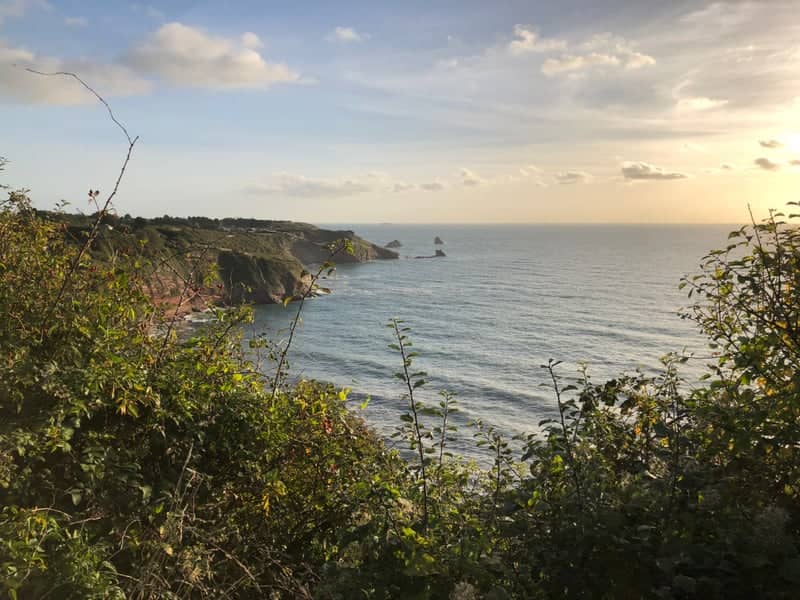 St Mary's Bay Overlook - Image 1
