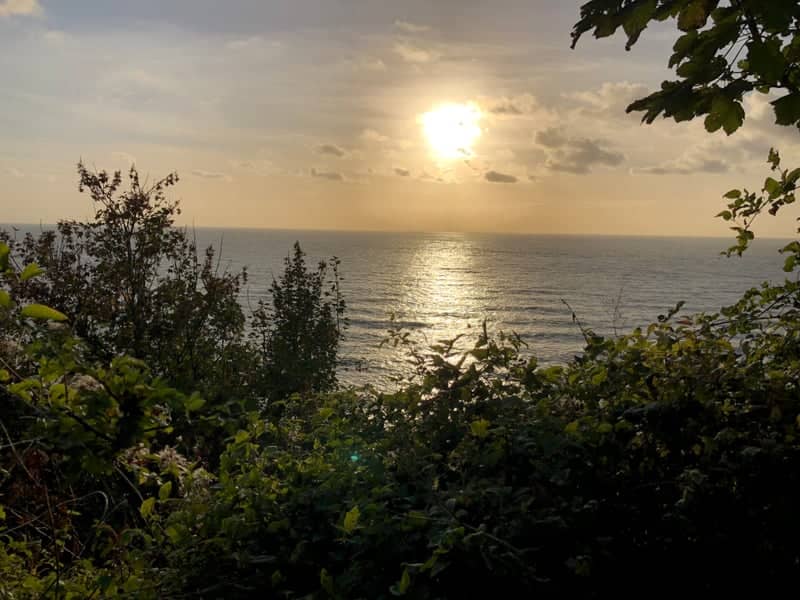 Brixham Coastal Path Overlook - Image 1