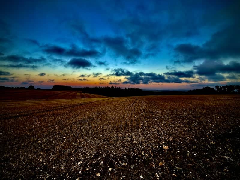 Bulbarrow Hill - Image 1
