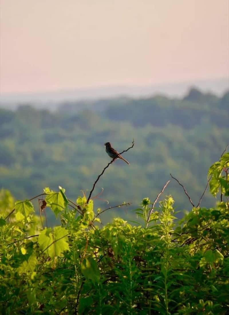 Cascade Road Countryside Overlook - Image 1