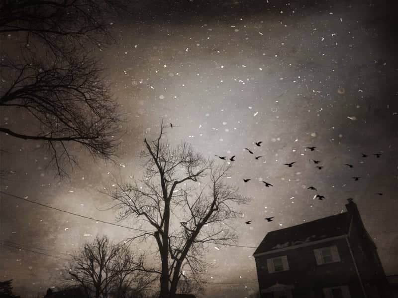 Hyattsville Suburban Silhouette - Image 1