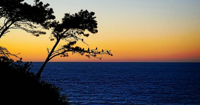 La Jolla Coast Walk Trail - Image 1