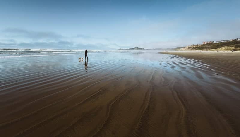 Nye Beach - Image 1