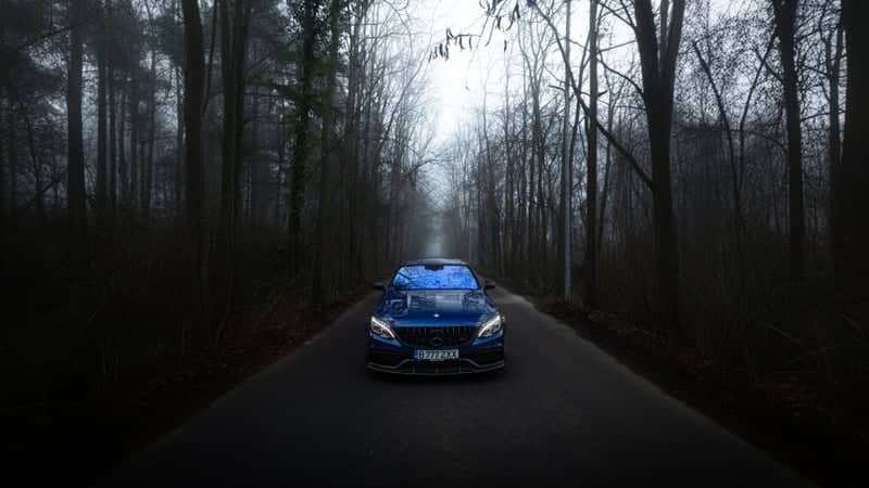 Băneasa Forest Road - Image 1