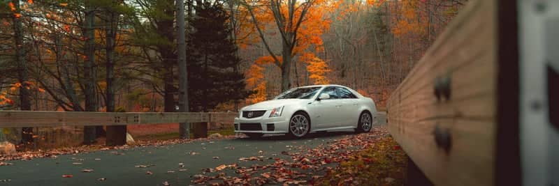 Abner Lane Autumn Roadway - Image 1
