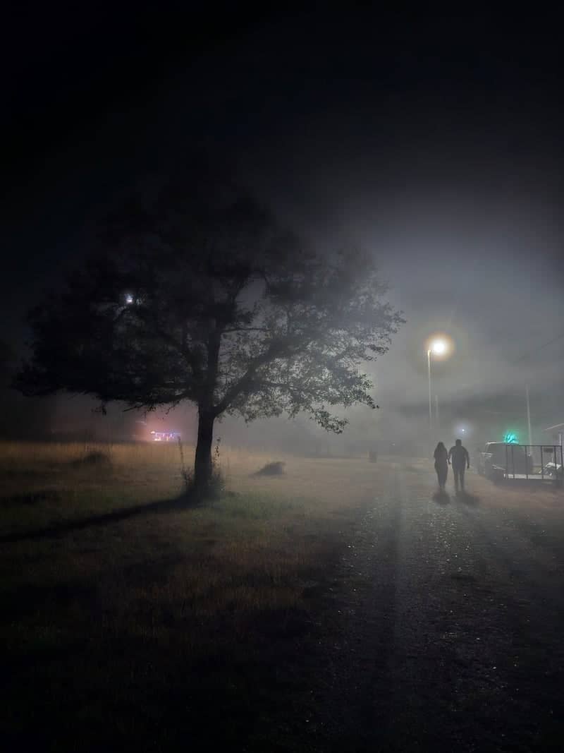 Moss Point Foggy Path - Image 1