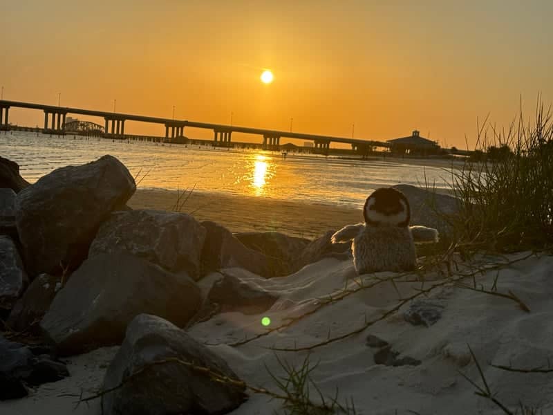 Front Beach, Ocean Springs - Image 1