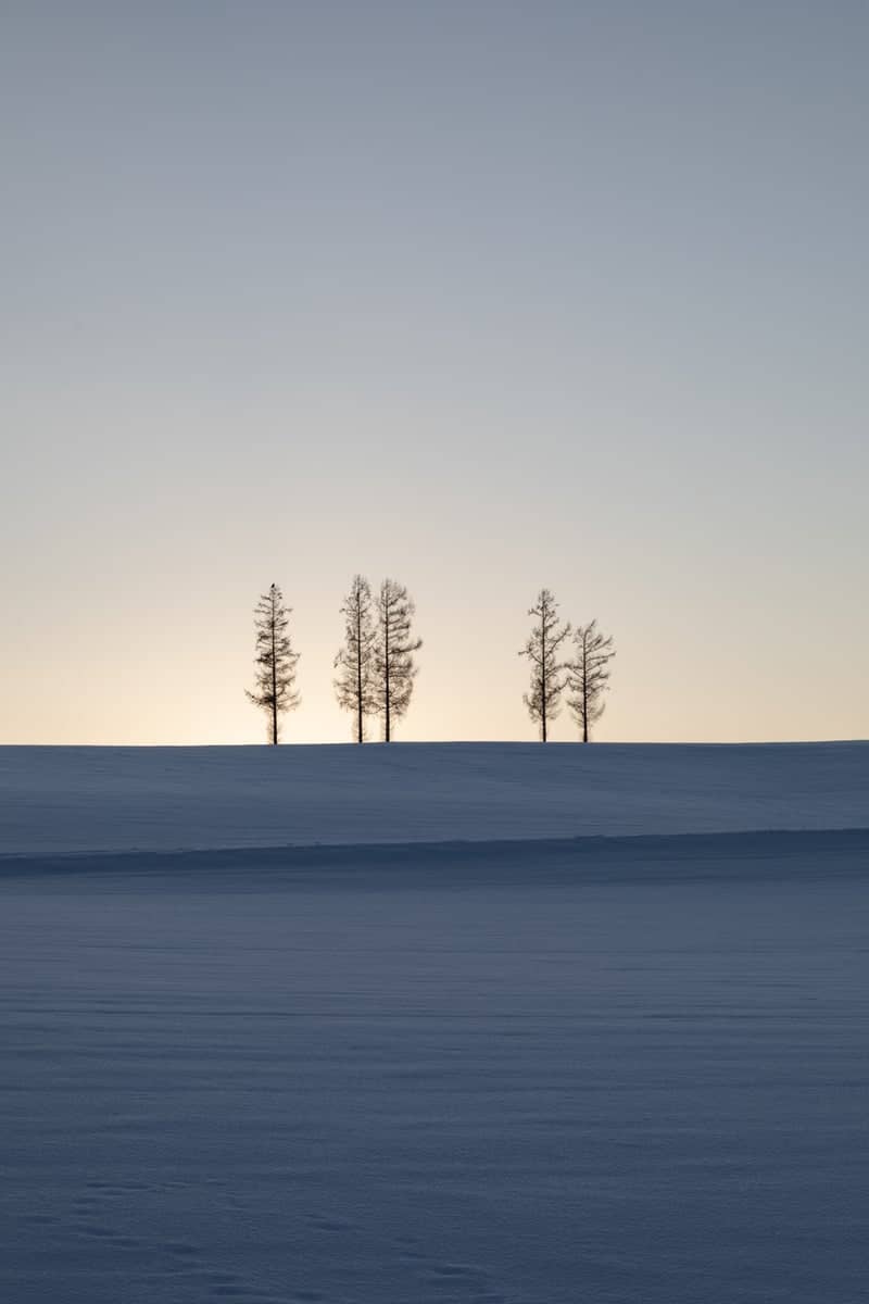 Furano Minimalist Snow Hill - Image 1