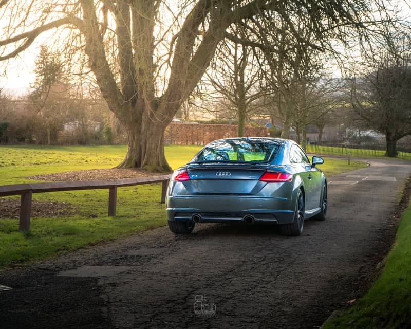 Glencaple Road Tree-Lined Path - Image 1
