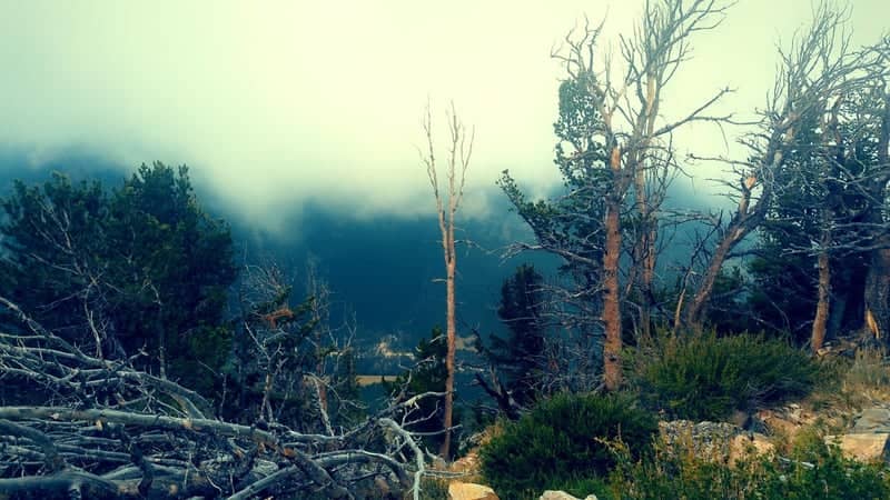 Beartooth Mountains Overlook - Image 1