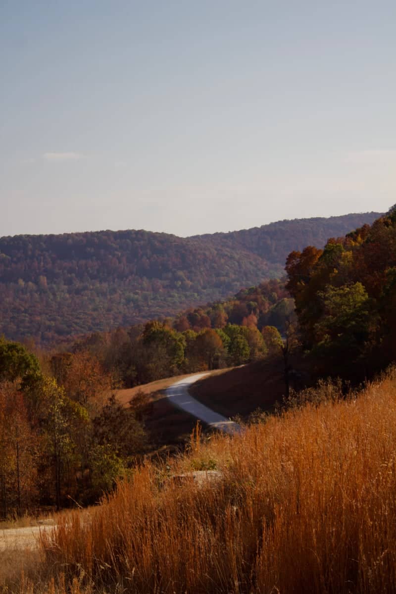 Ozark Mountains Scenic Overlook - Image 1