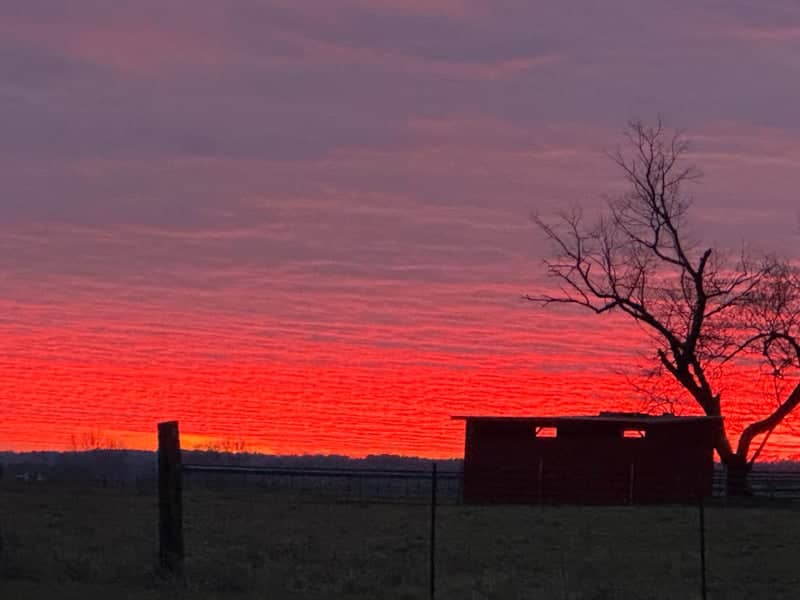 Cleveland Farmstead Sunset - Image 1
