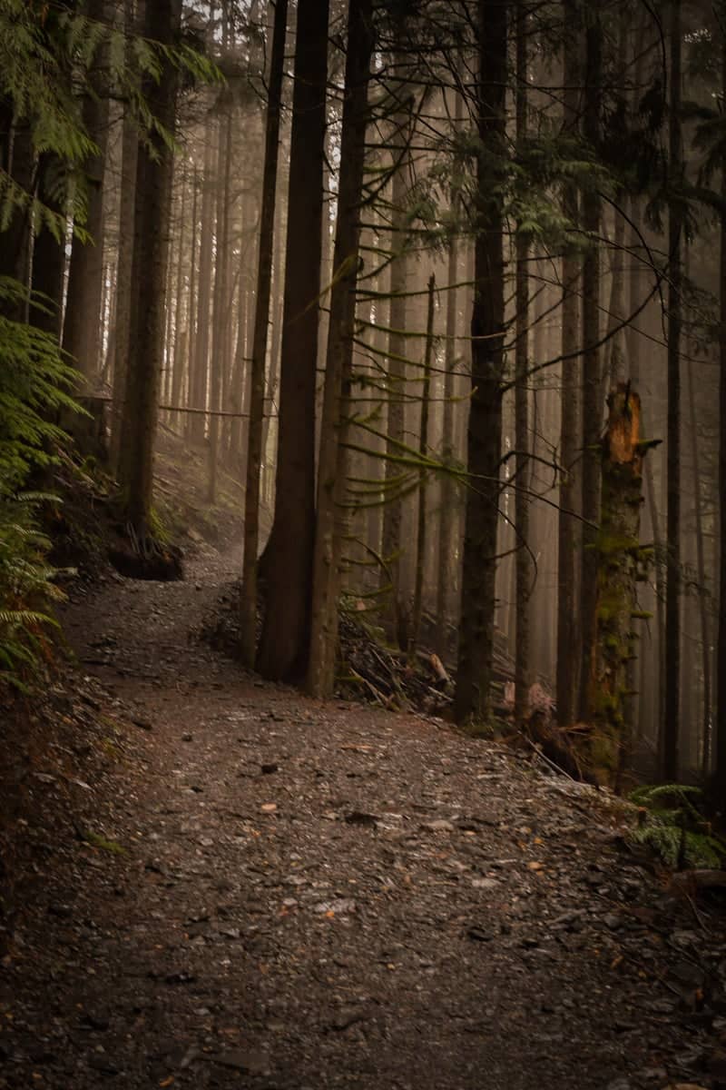 Heather Lake Trail - Image 1