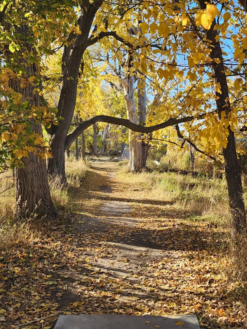 Cody Park Nature Trail - Image 1