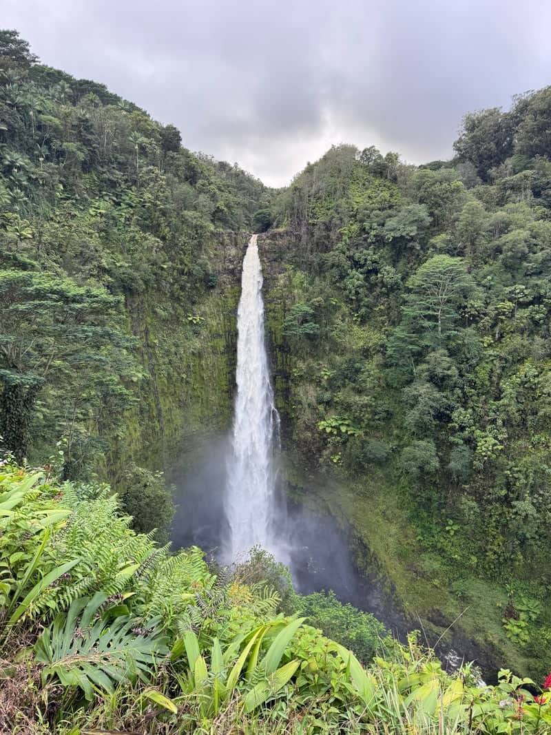 Akaka Falls - Image 1