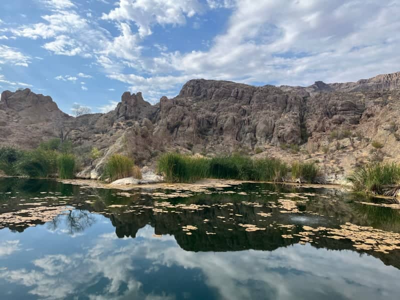 Ayer Lake, Boyce Thompson Arboretum - Image 1