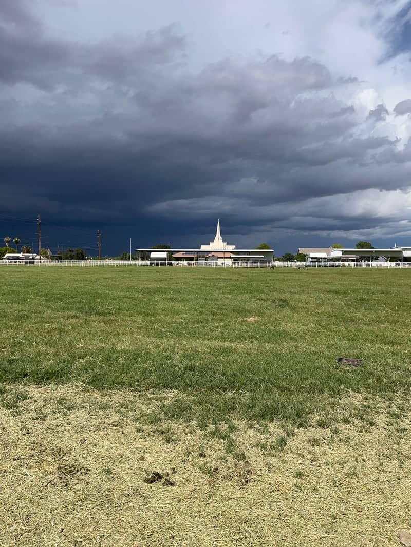Gilbert Arizona Temple View - Image 1