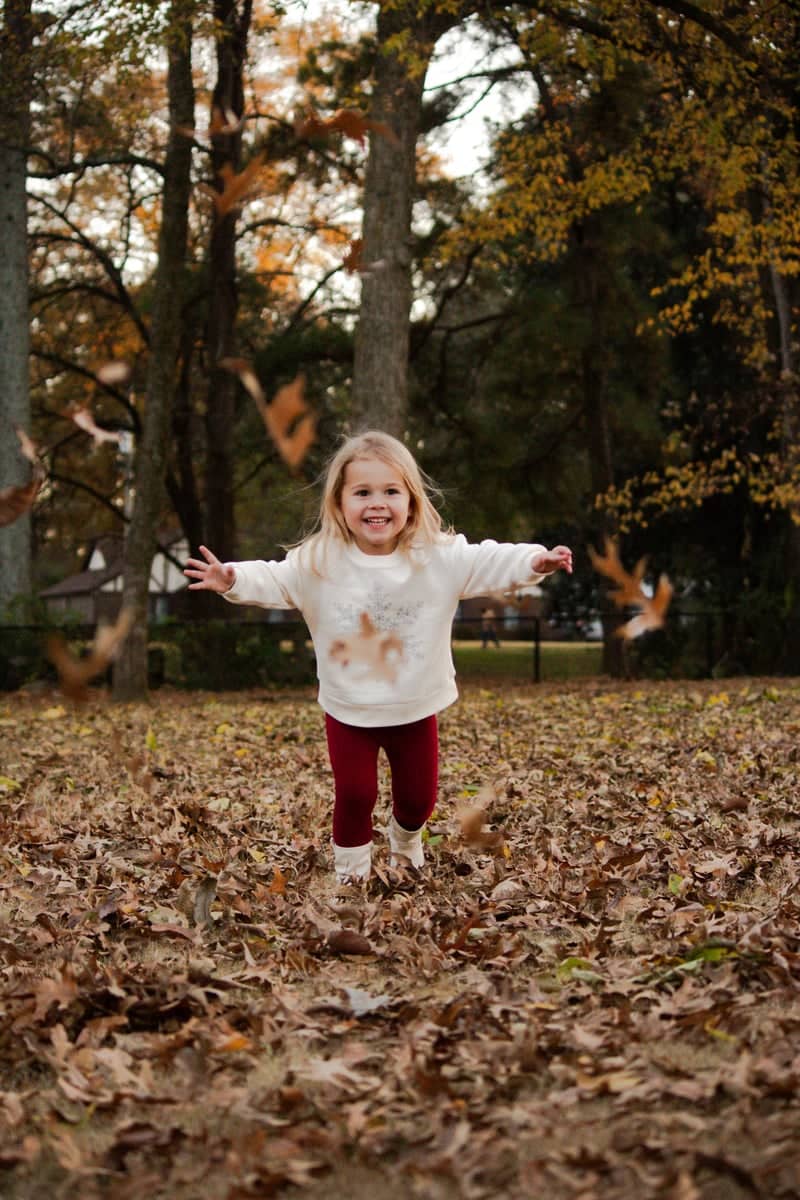 Senatobia Autumn Park - Image 1
