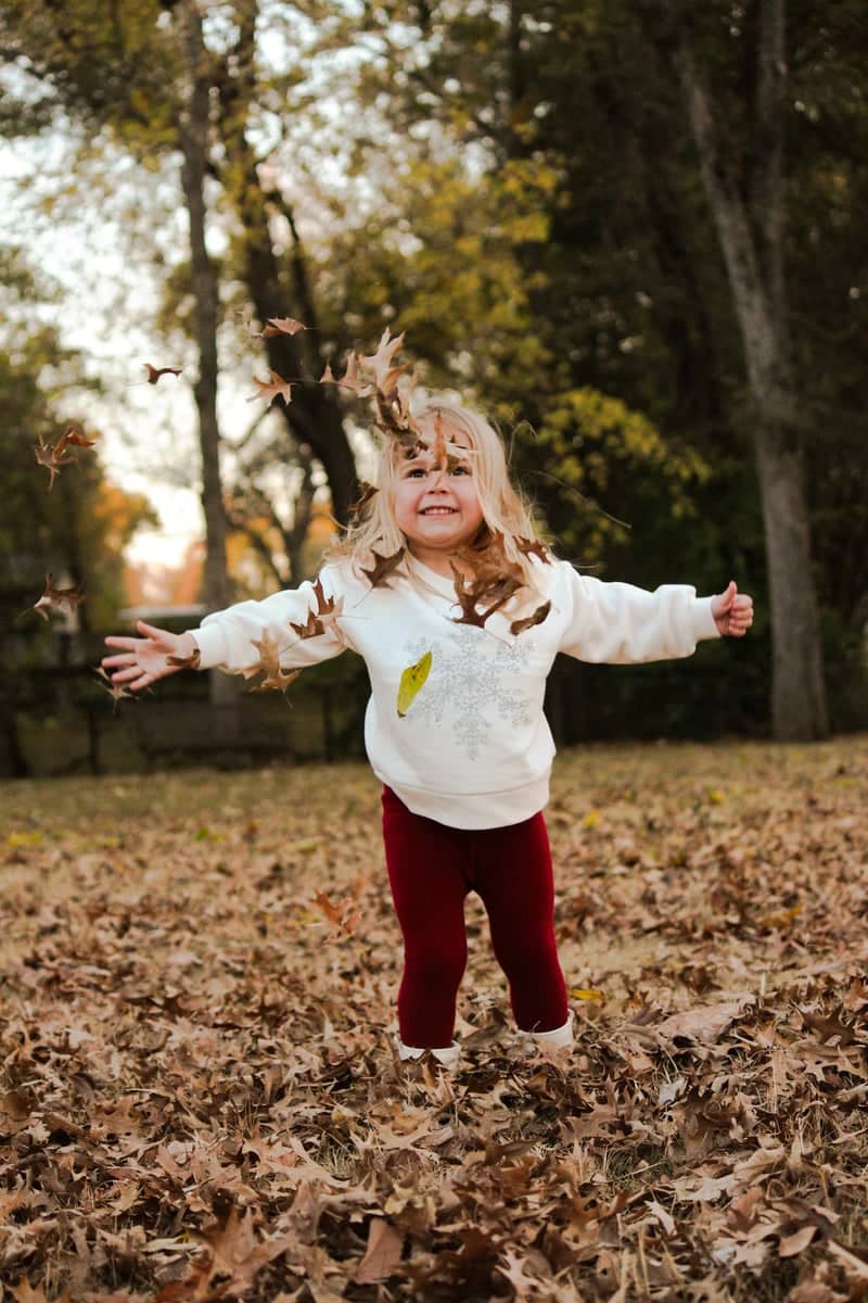 Senatobia Autumn Yard - Image 1