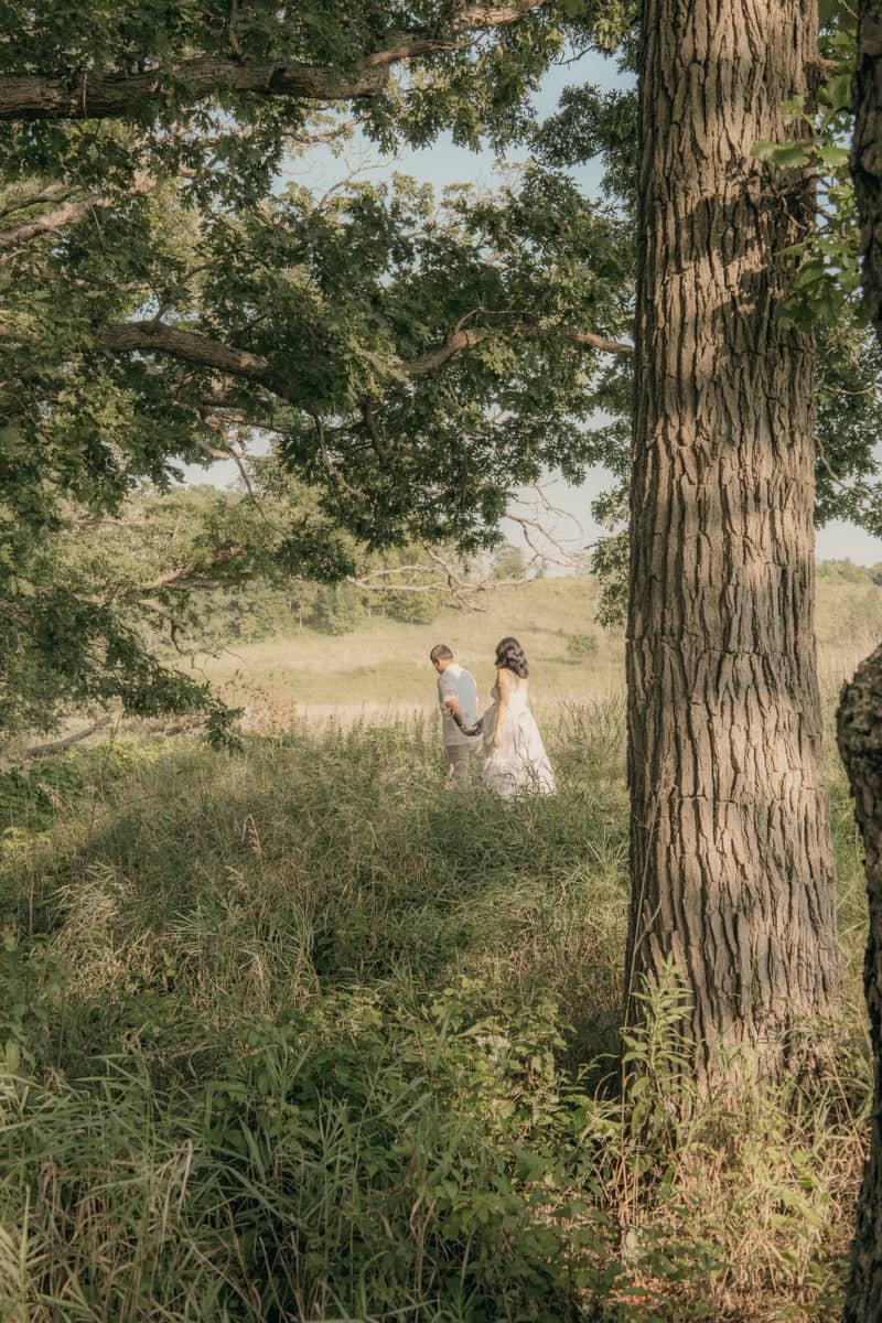 Delafield Meadow Parkland - Image 1