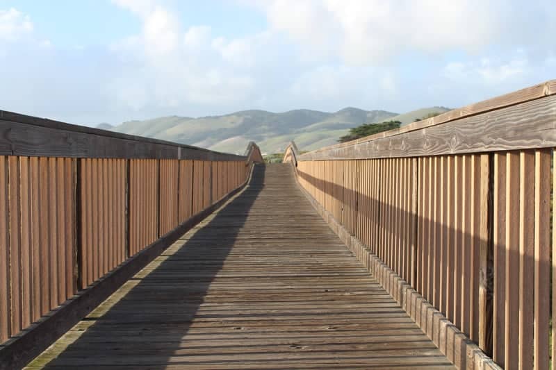 Pismo Beach Nature Boardwalk - Image 1