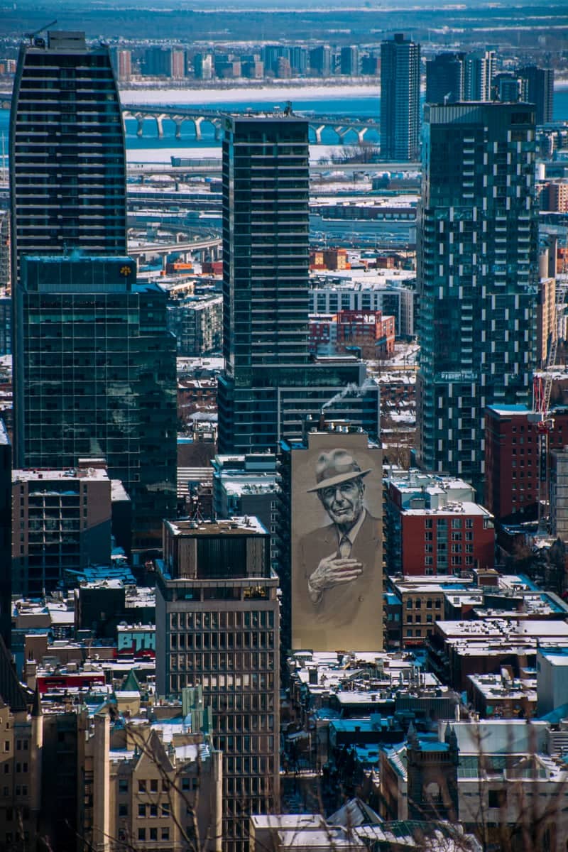 Mount Royal Viewpoint - Image 1