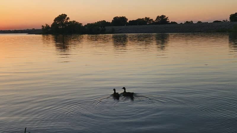 Lake Hudson Shoreline - Image 1