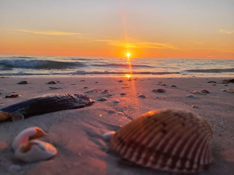 Shell Beach Sunset - Image 1