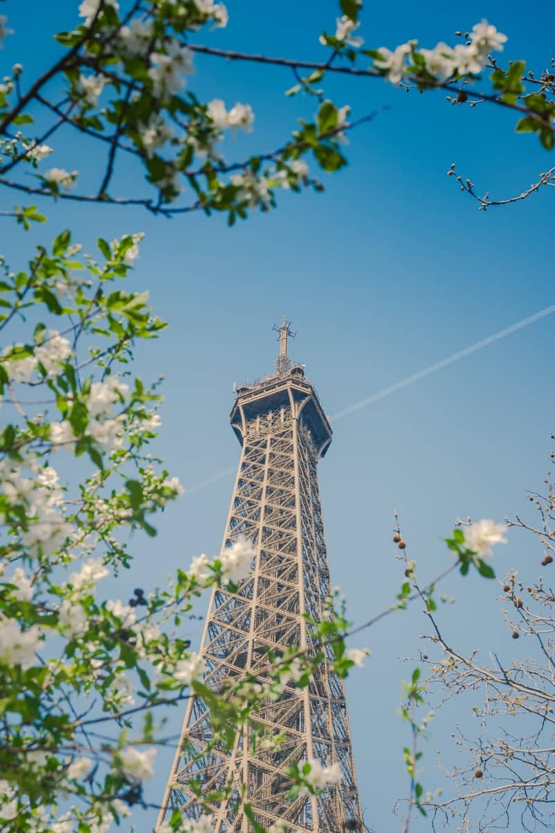 Avenue Charles Floquet Eiffel Tower View - Image 1