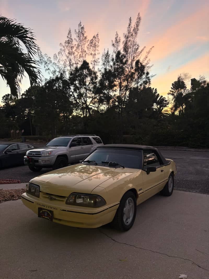 Lantana Sunset Driveway - Image 1