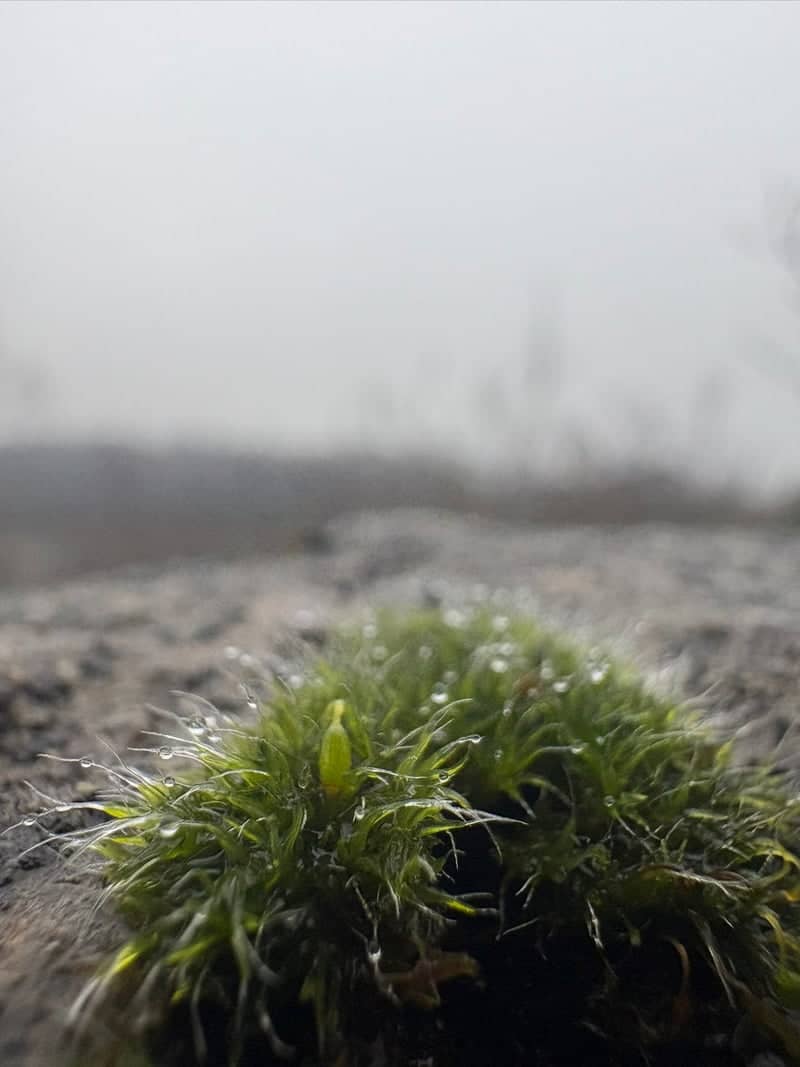Skegness Foreshore - Image 1