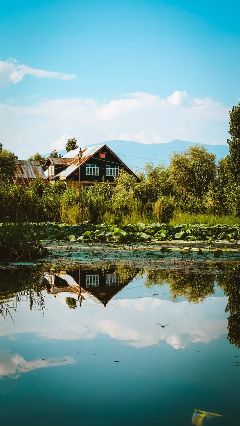 Kashmiri Lakeside Reflection - Image 1