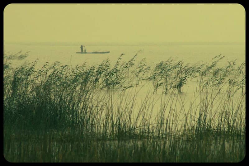 Thol Lake Bird Sanctuary - Image 1