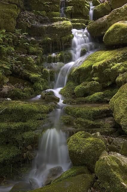 Mossy Cascade at Buffalo National River - Image 1