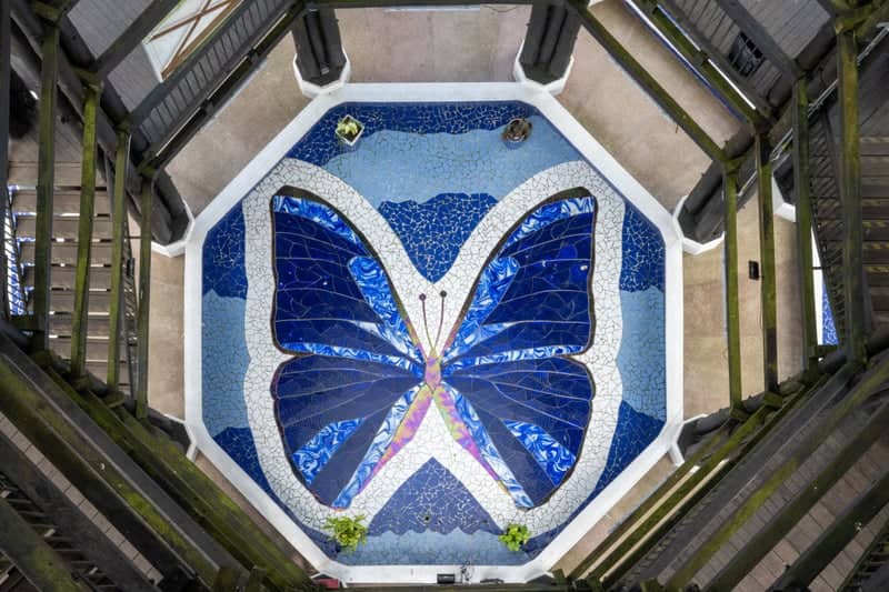 Mirador de Salento Butterfly Mosaic - Image 1