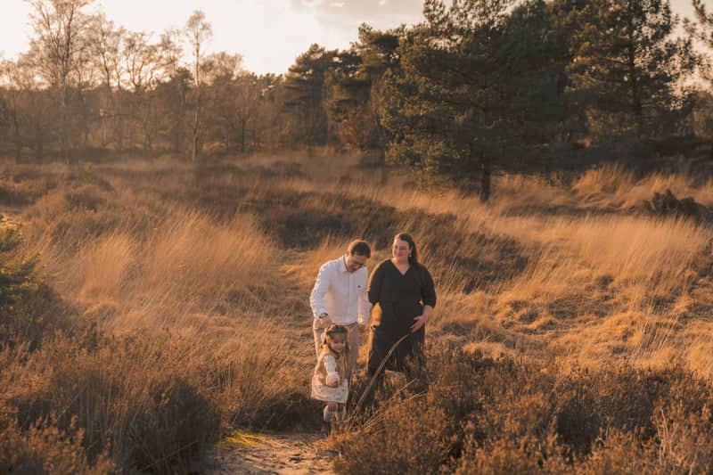 Kalmthoutse Heide - Image 1