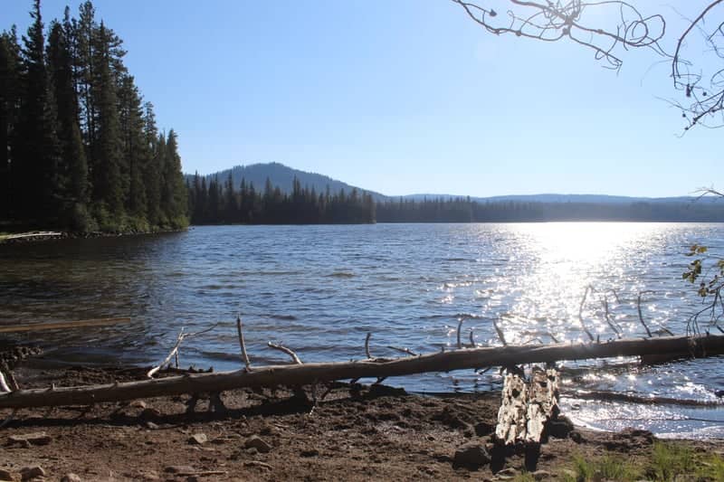 Cultus Lake Shoreline - Image 1