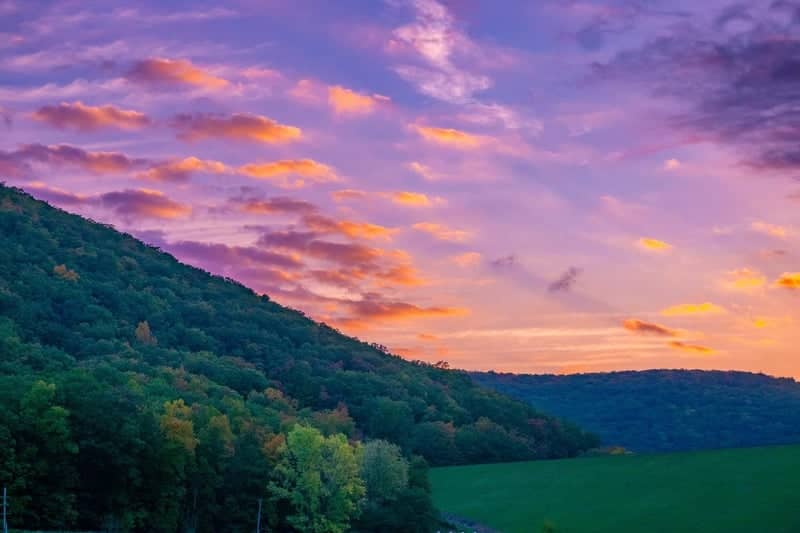 Allegheny National Forest Hills - Image 1
