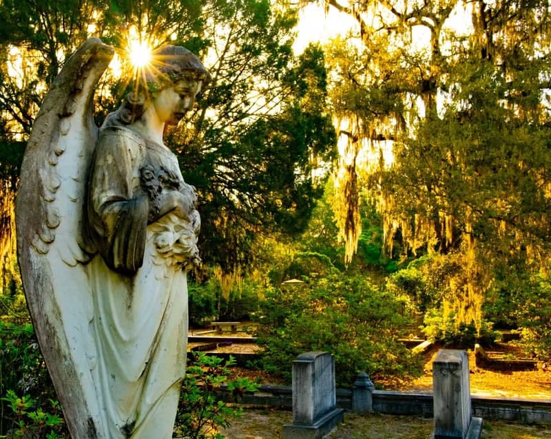 Bonaventure Cemetery - Image 1