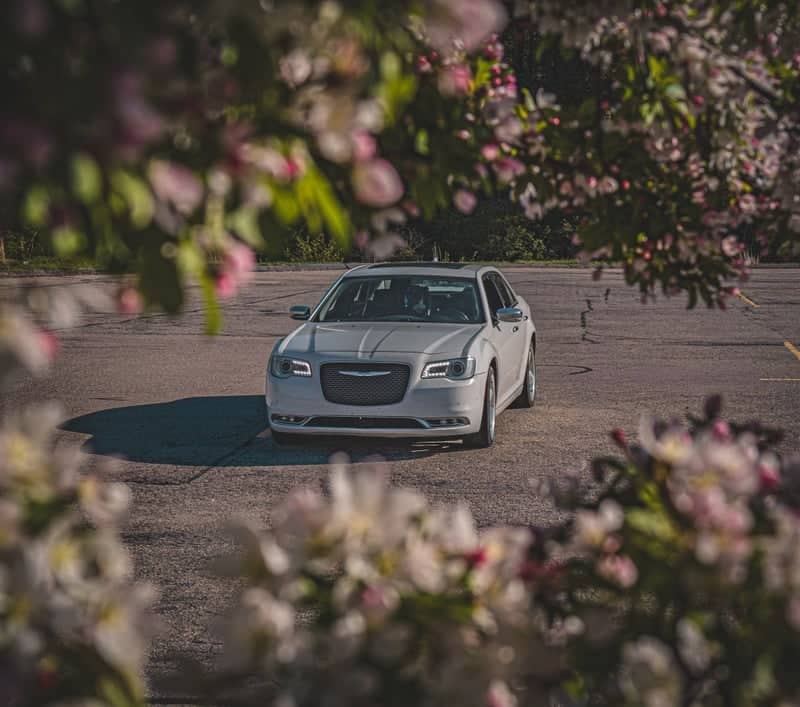Mansfield Center Spring Blossoms - Image 1