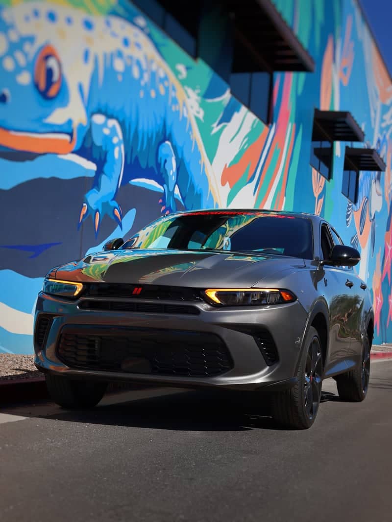 Mesa Lizard Mural - Image 1