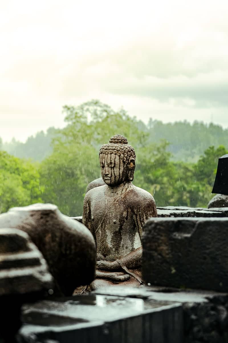 Borobudur Temple - Image 1