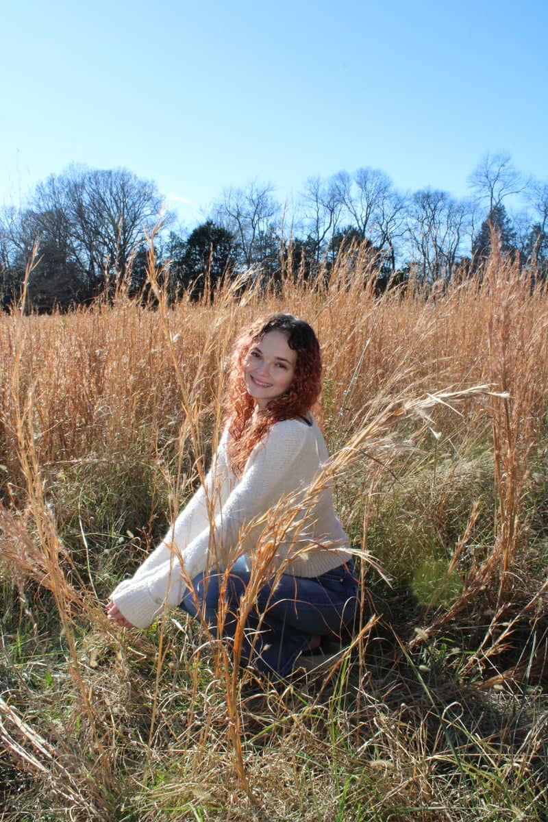 New Market Golden Fields - Image 1
