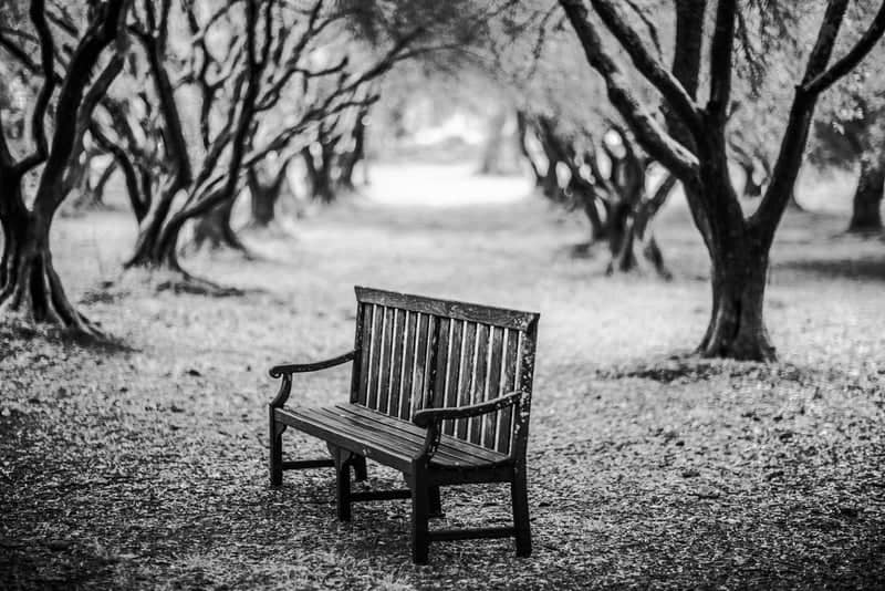 Filoli Historic House & Garden - Image 1